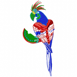 Parrots Embroidery Design 5 Parrots Embroidery Design 5